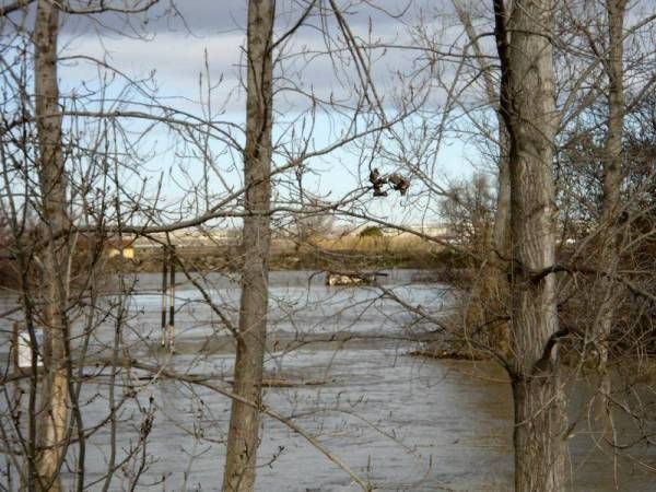 Fotogalería: Crecida en el río Ebro