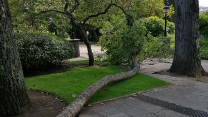 Dos grandes ramas caen en un camino del parque José Martí, situado en Santa Cristina