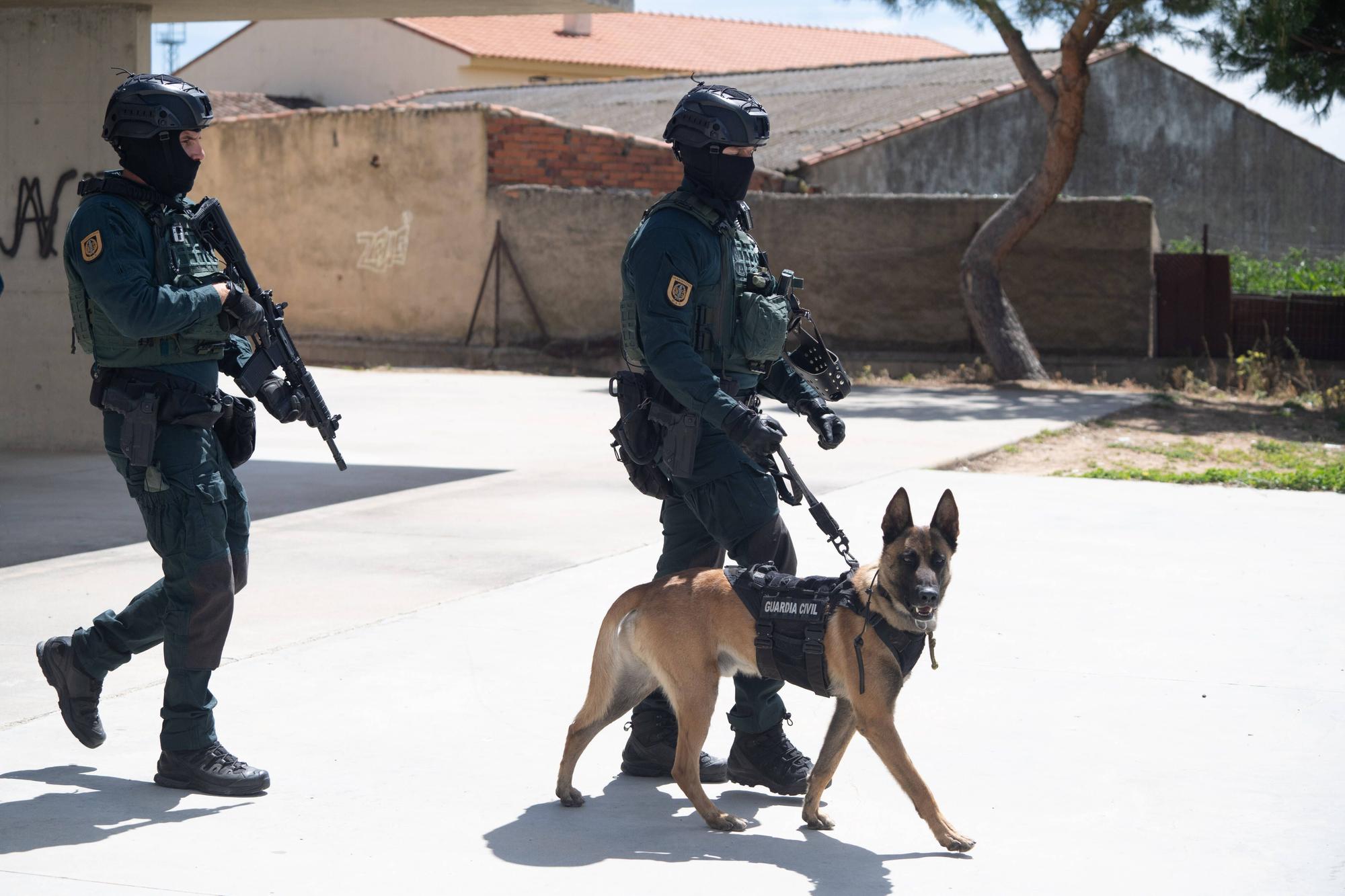 GALERÍA | El impresionante simulacro de atentado terrorista en el colegio de Coreses (Zamora)