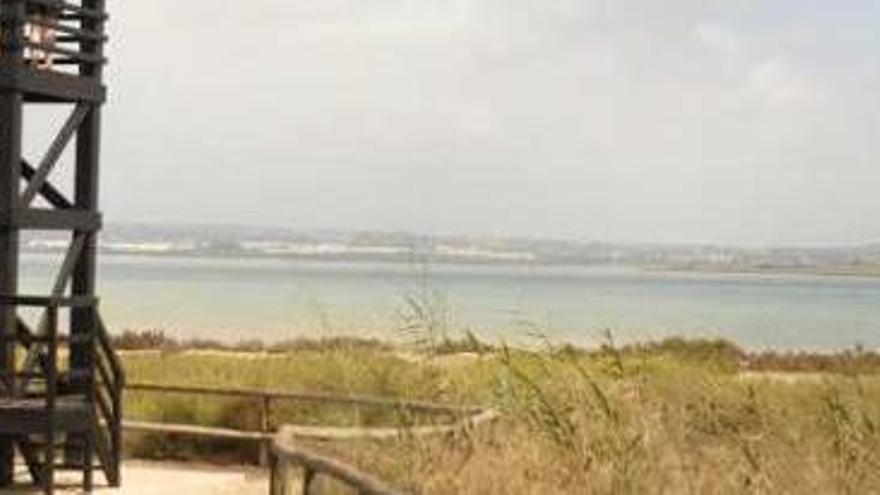 Una imagen de archivo de un mirador del parque natural de Las Lagunas de Torrevieja.