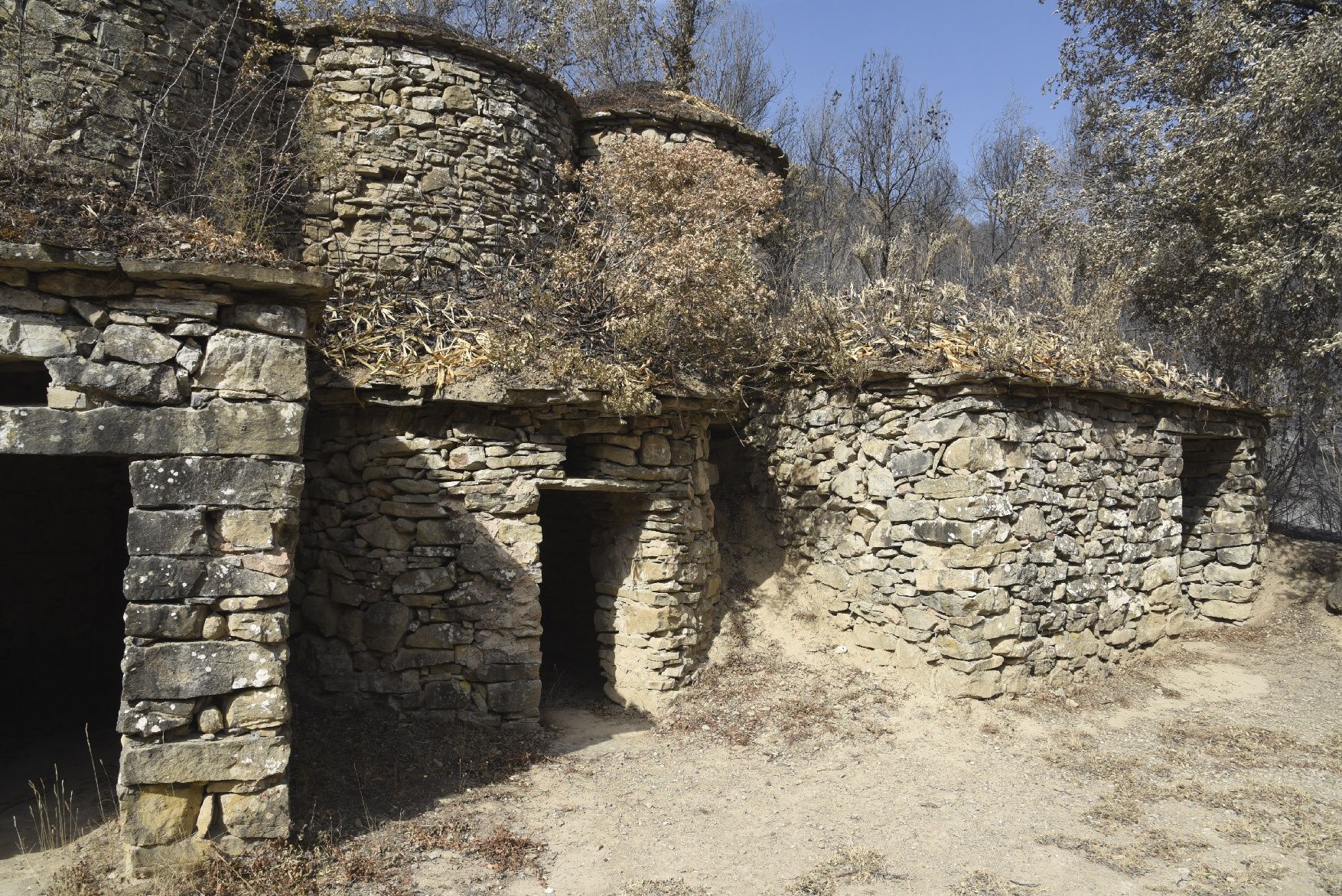 Així ha afectat el foc les tines de la Vall del Flequer