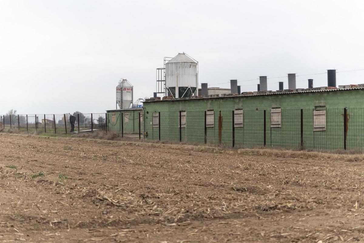 Vista del exterior de una granja de cerdos en Ivars d'Urgell.