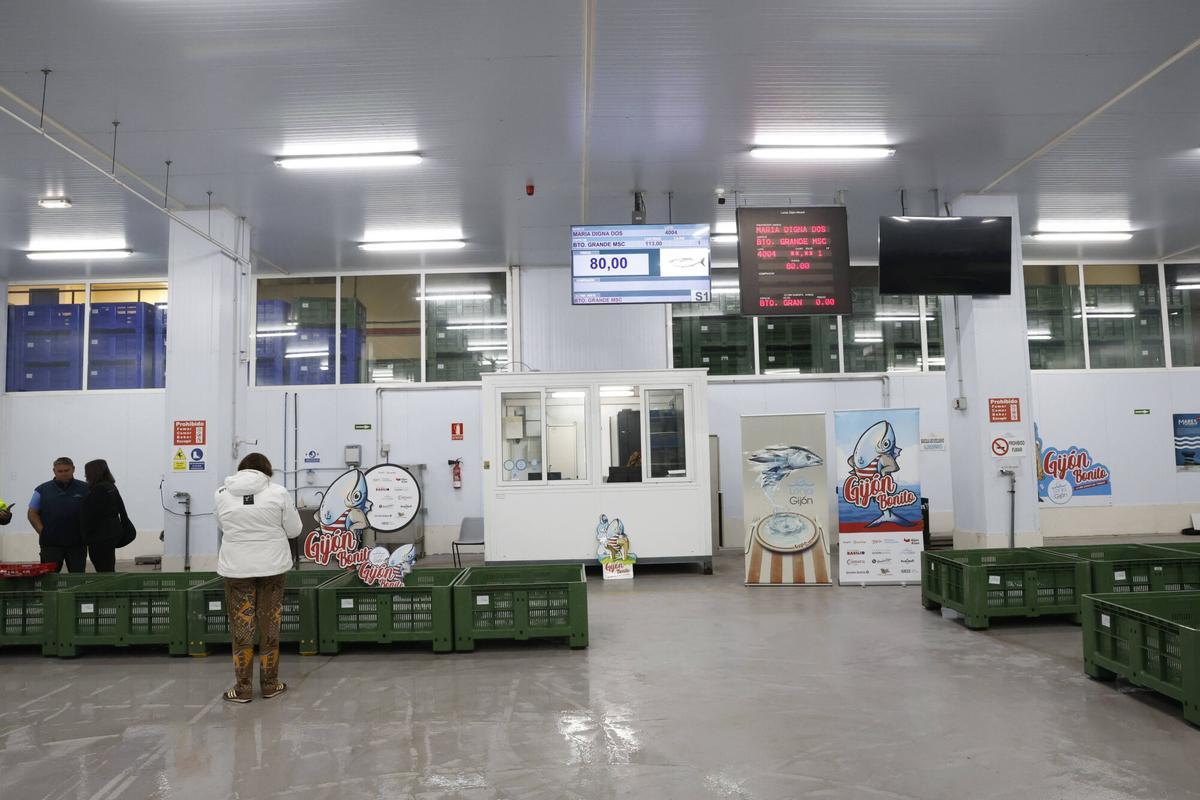 EN IMÁGENES: El primer bonito de la temporada ya está en Gijón: 2.217 kilos de "pescado del Cantábrico y de gran calidad"