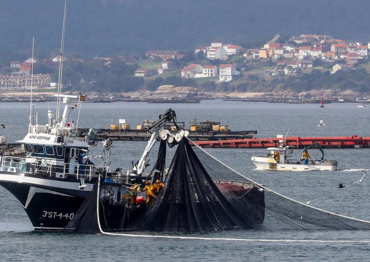El barco de cerco “Novo Rosymar” maniobrando entre la costa de A Illa y las bateas. |   // IÑAKI ABELLA