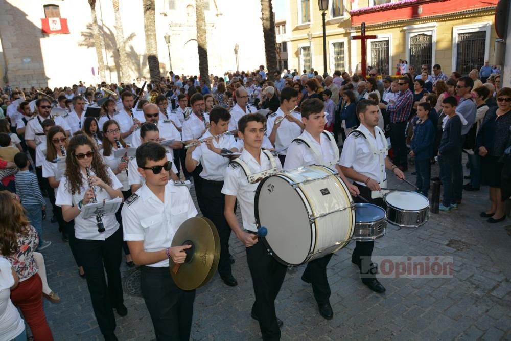 Día de la Cruz en Cieza 2016