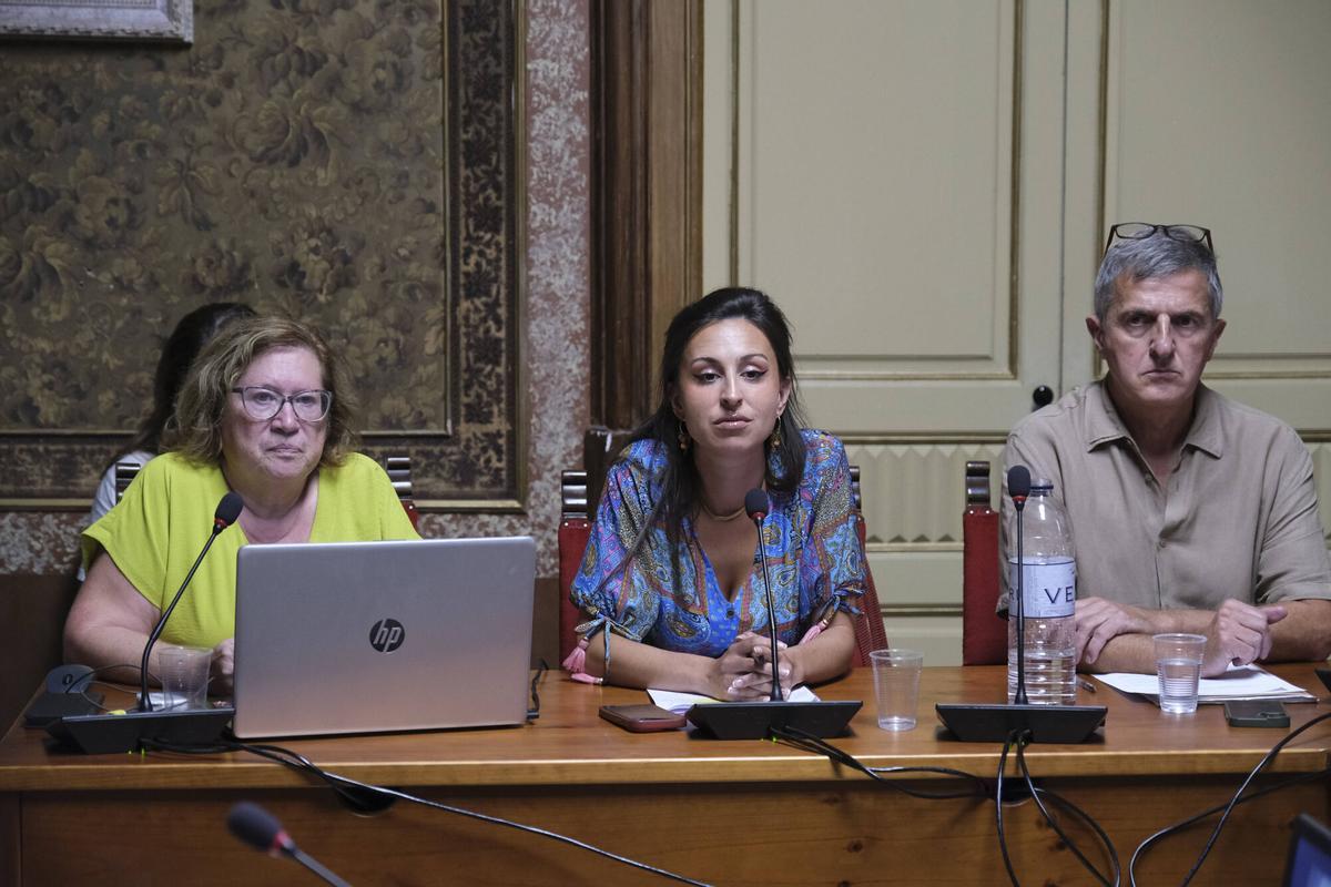 El govern de Moià aprova la modificació urbanística per ampliar el polígon del Prat de Moià
