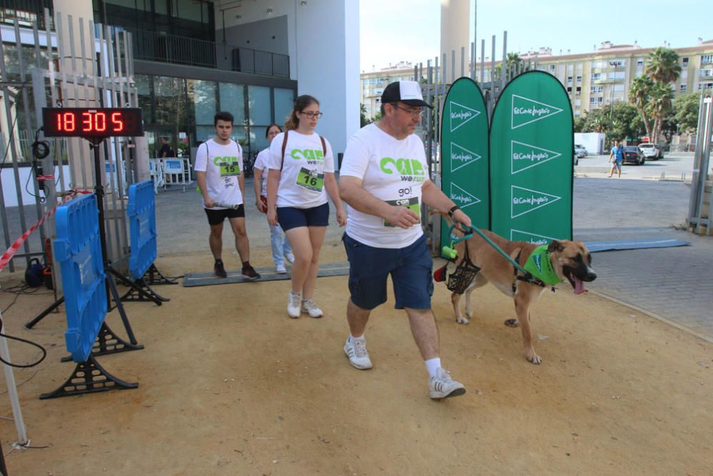 El Parque Huelin ha acogido la primera edición de un evento destinado a las mascotas y a sus dueños, con carreras en diversas categorías, actividades gratuitas y numerosos stands