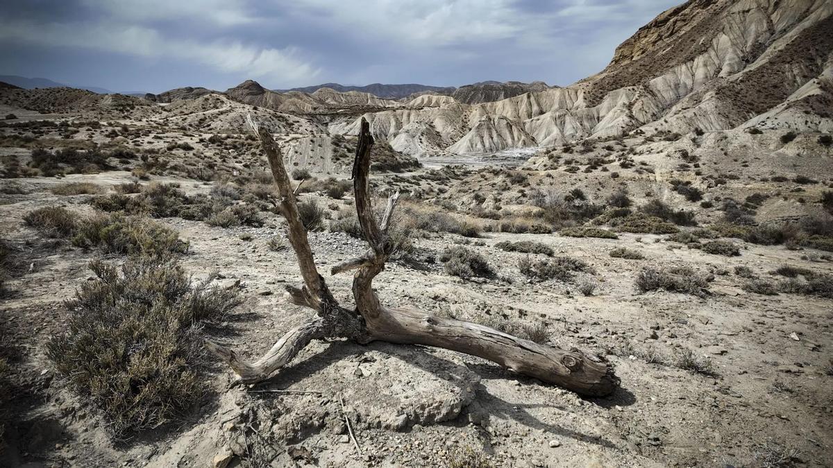 Desierto de Tabernas, en Almería.