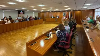 El pleno de Vigo aprueba más de 8 millones para facilitar el acceso a la vivienda