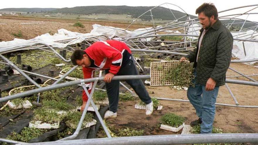 Los seguros agrarios tienen &quot;absoluta prioridad para la Junta de Extremadura&quot;