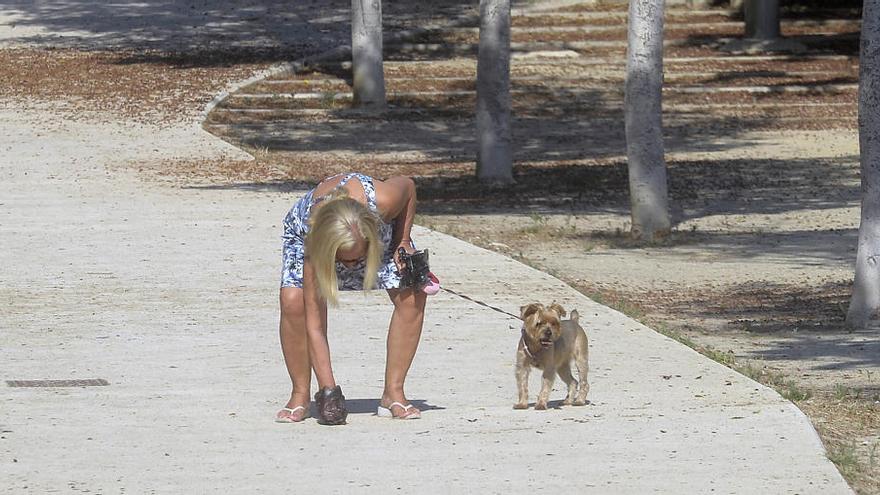 Una mujer recoge el excremento su perro en un parque de Alicante, una imagen que debe repetirse más, según los vecinos