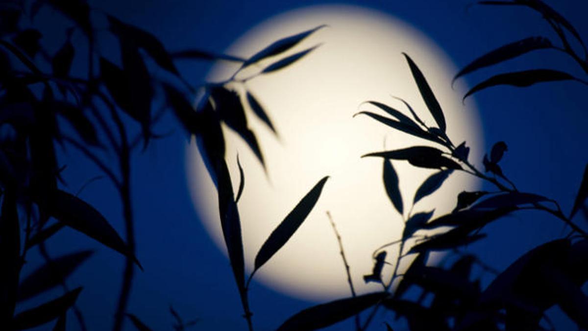 Imagen de una Luna llena.