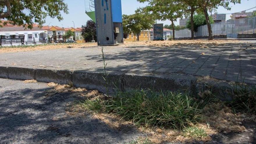 Denuncian el «abandono» de la plaza de la Rana