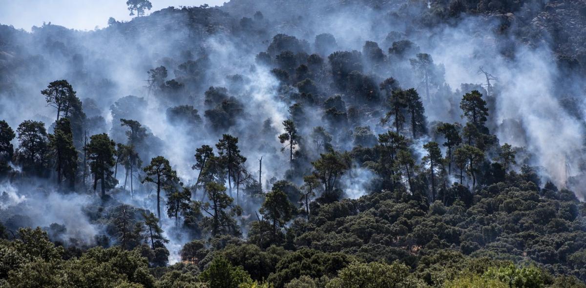 Arbres cremant, ahir, a Robledo de Chavela.  | GABRI SOLERA / EUROPA PRESS
