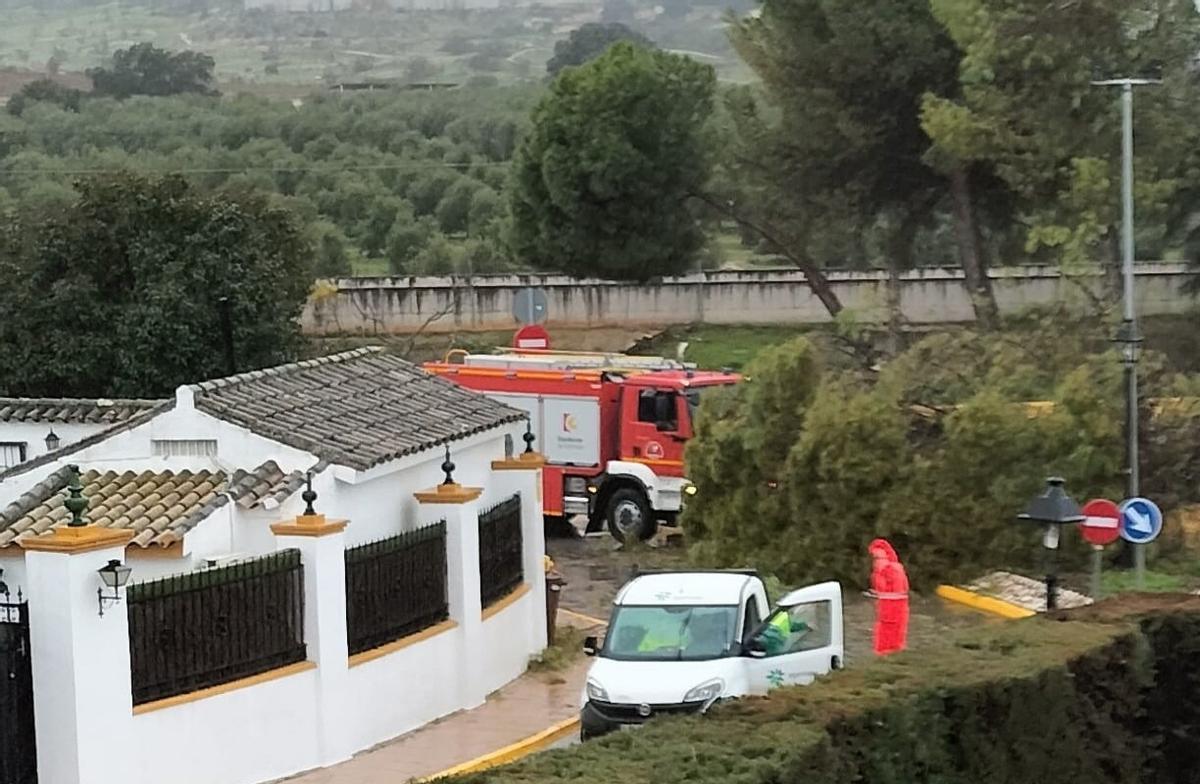 Operarios de Egemasa trabajan en la señalización y retirada de un árbol en el cruce de la Cañada de la Plata con la A-318.