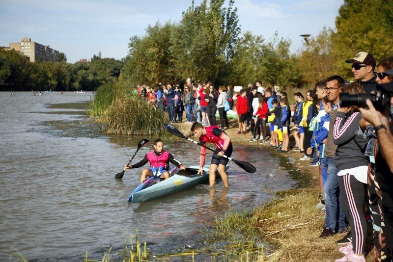 Campeonato de regatas en el Ebro