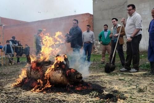 Matanza tradicional en Monfarracinos