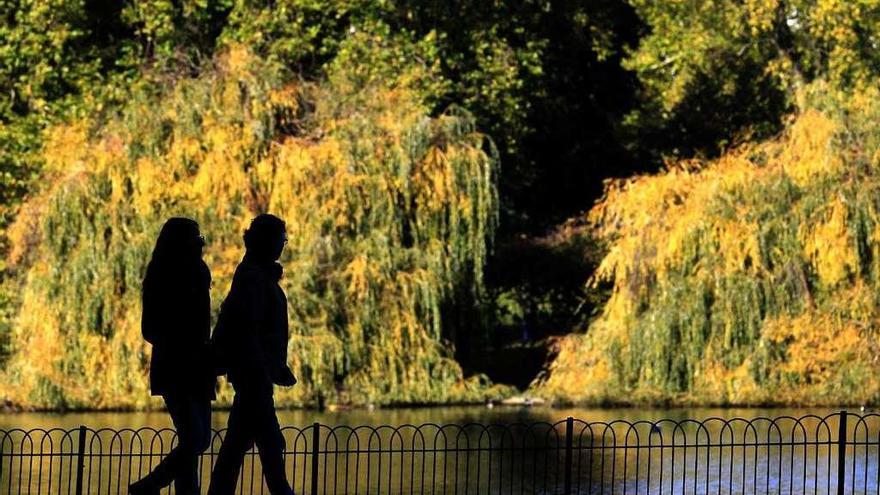 Una pareja pasea por un parque. // Luke Macgregor