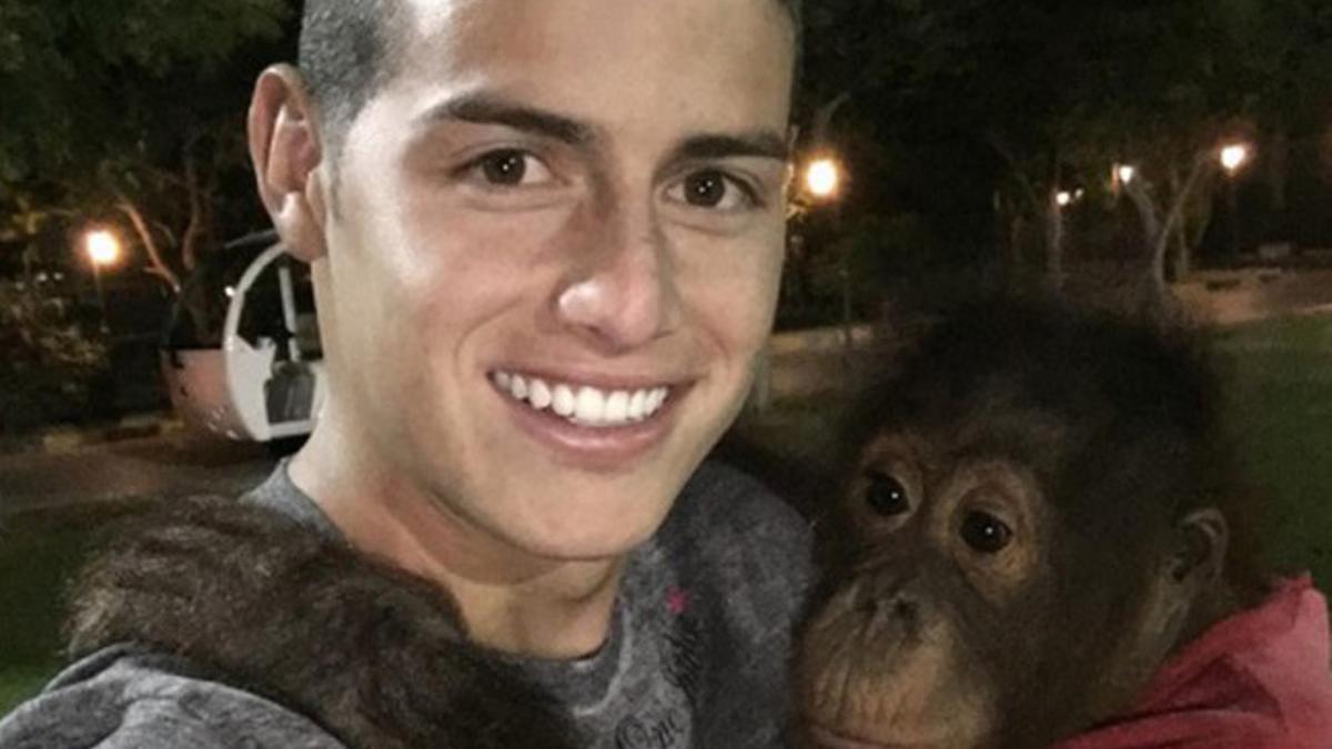 Un usuario en Twitter comparó a Neymar con un orangután