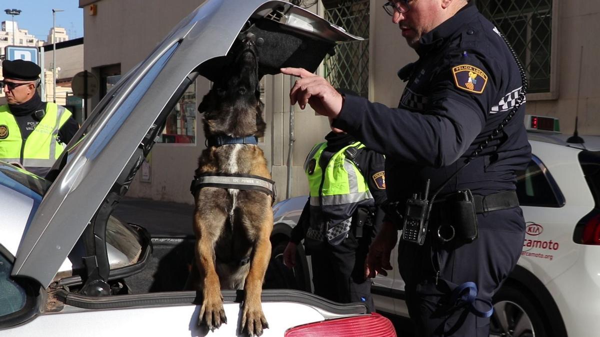 La Policía se prepara para la Noche de San Juan.