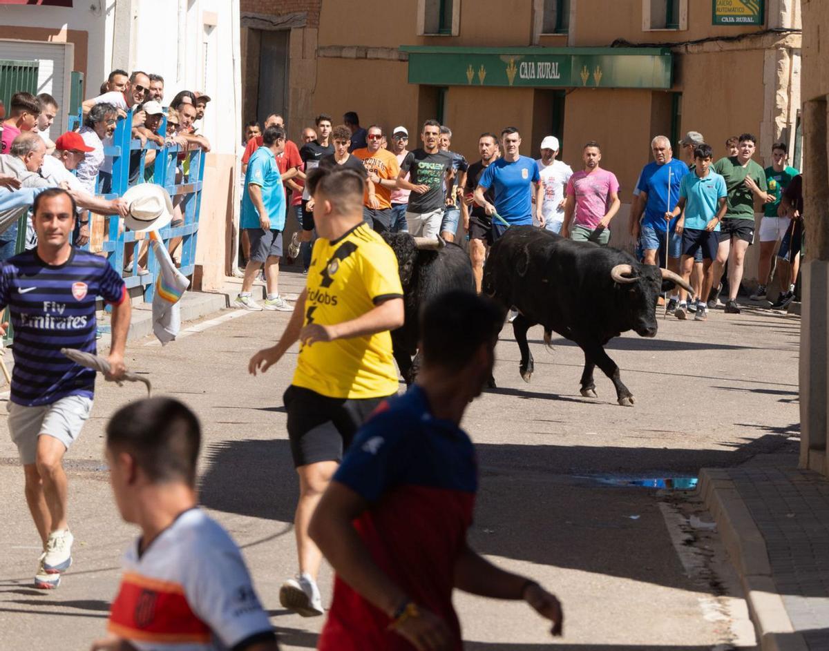 Los mozos corren delante de unos de los bóvidos por la calle principal de La Bóveda. | José Luis Fernández