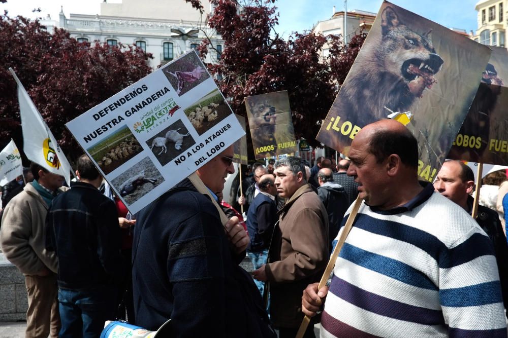 La Alianza se manifiesta en contra del lobo