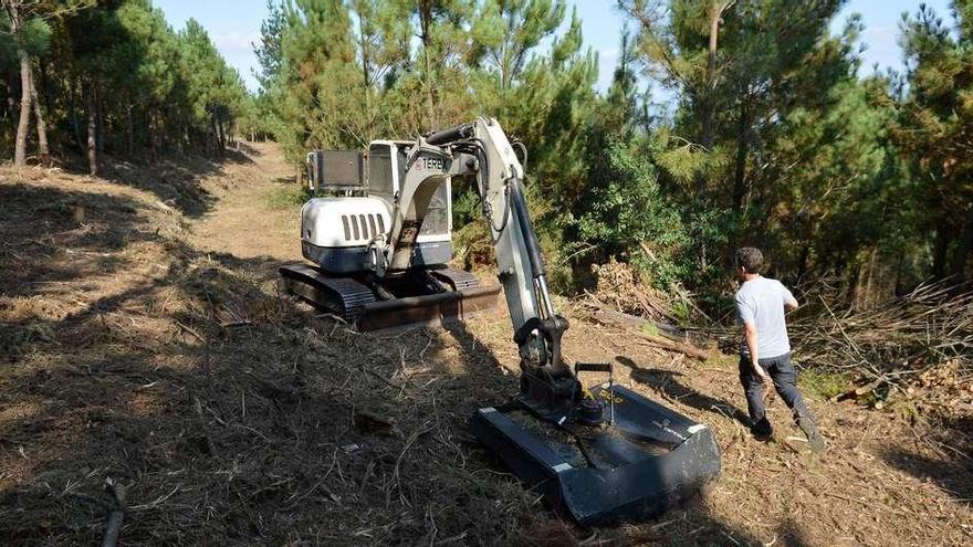 Las máquinas trabajan en San Salvador de Poio en la limpieza de cortafuegos.  // Gustavo Santos