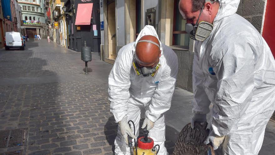 Los operarios, en plena aplicación del insecticida.