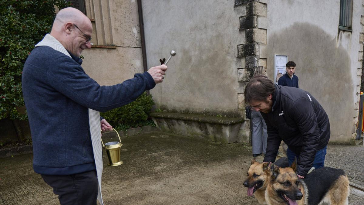 Les imatges de la celebració de Sant Antoni Abat a Girona