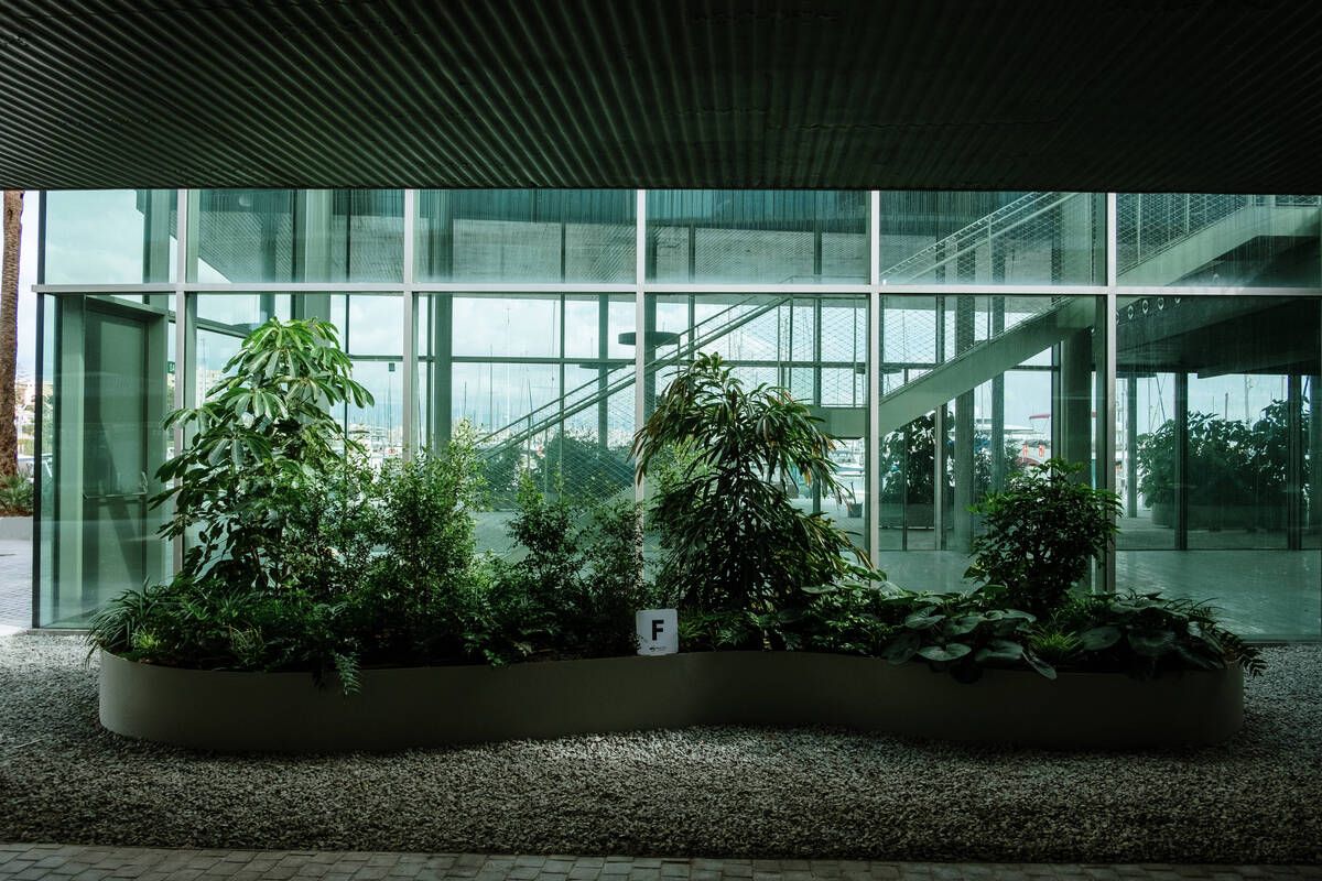 251010DMA_Bernardo A (225269591).jpg