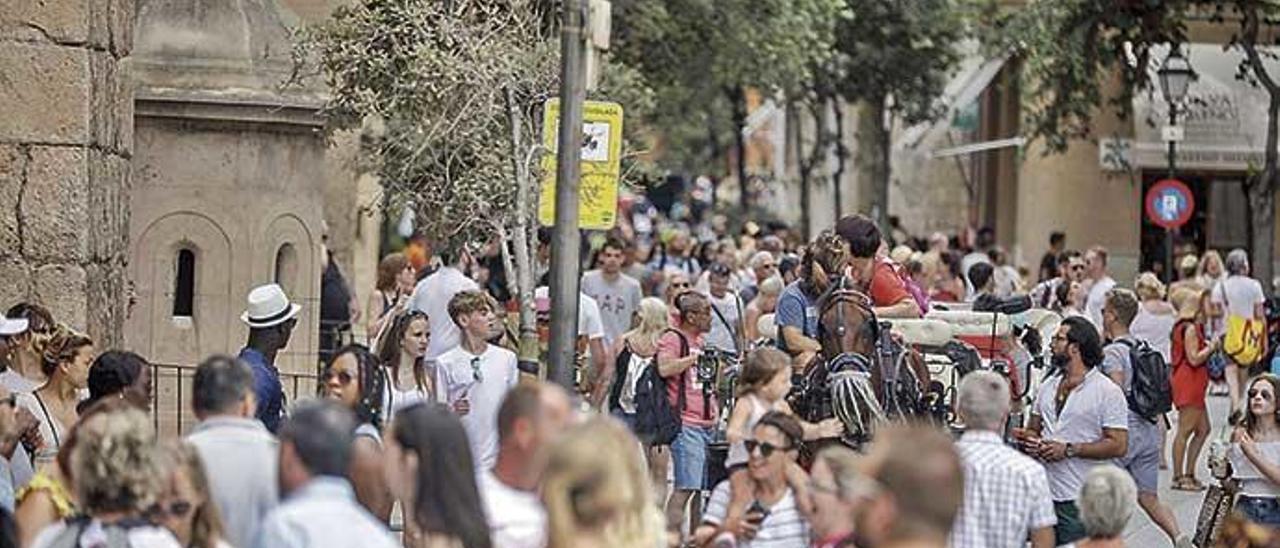 Turistas paseando por el centro de Palma.