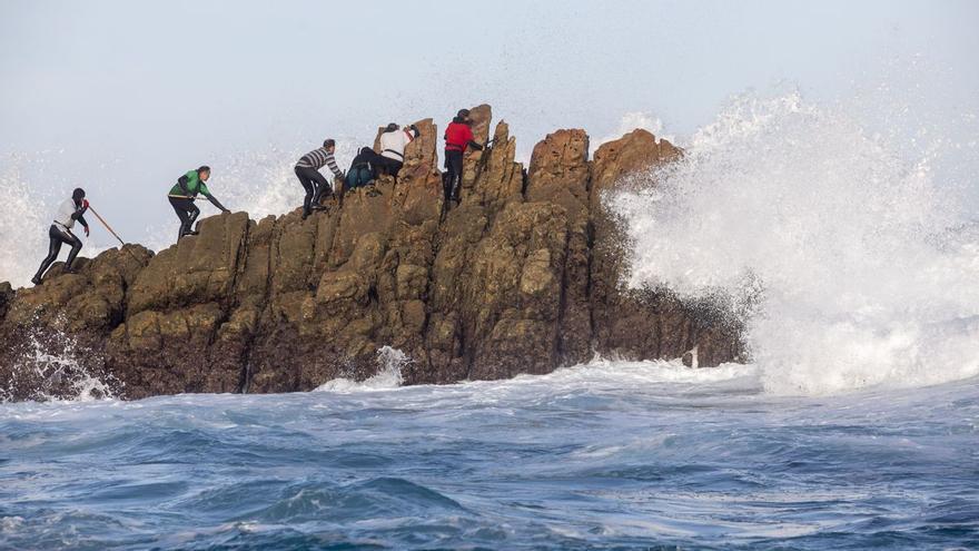 Perceberos, como &#039;Spiderman&#039; en Asturias