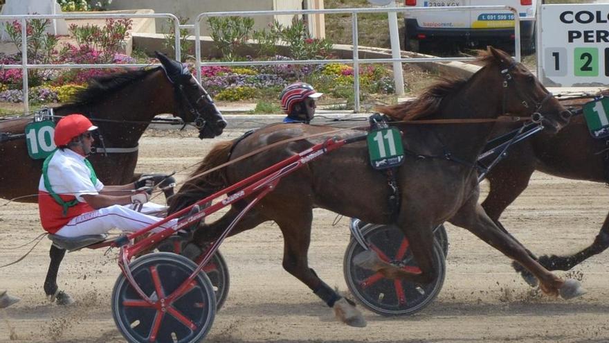 Gran Premi de Manacor: programa de tarde del domingo 14 de junio