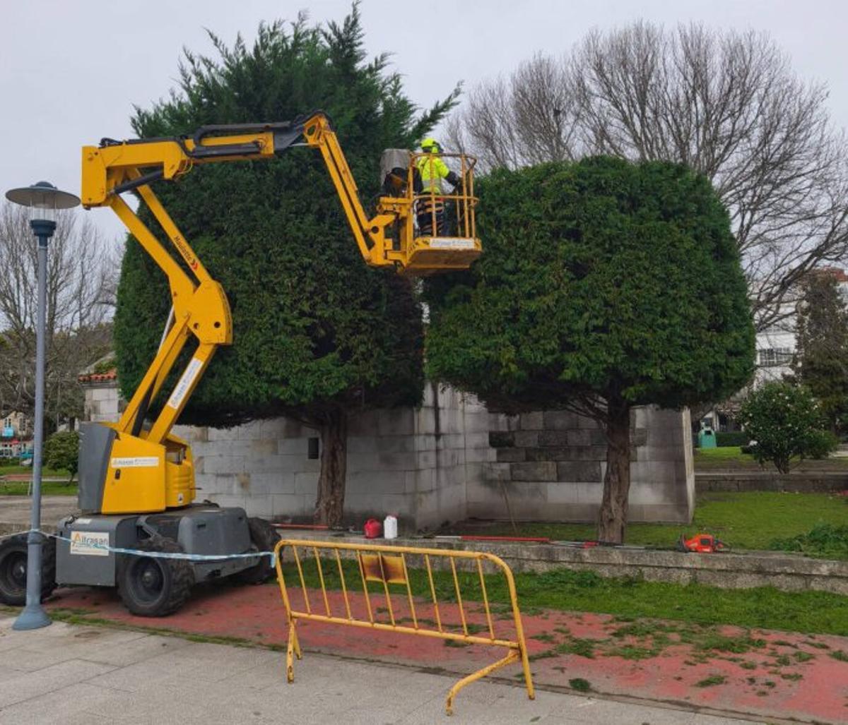 Poda de cipreses en la Capela do Hospital. | G.NÚÑEZ