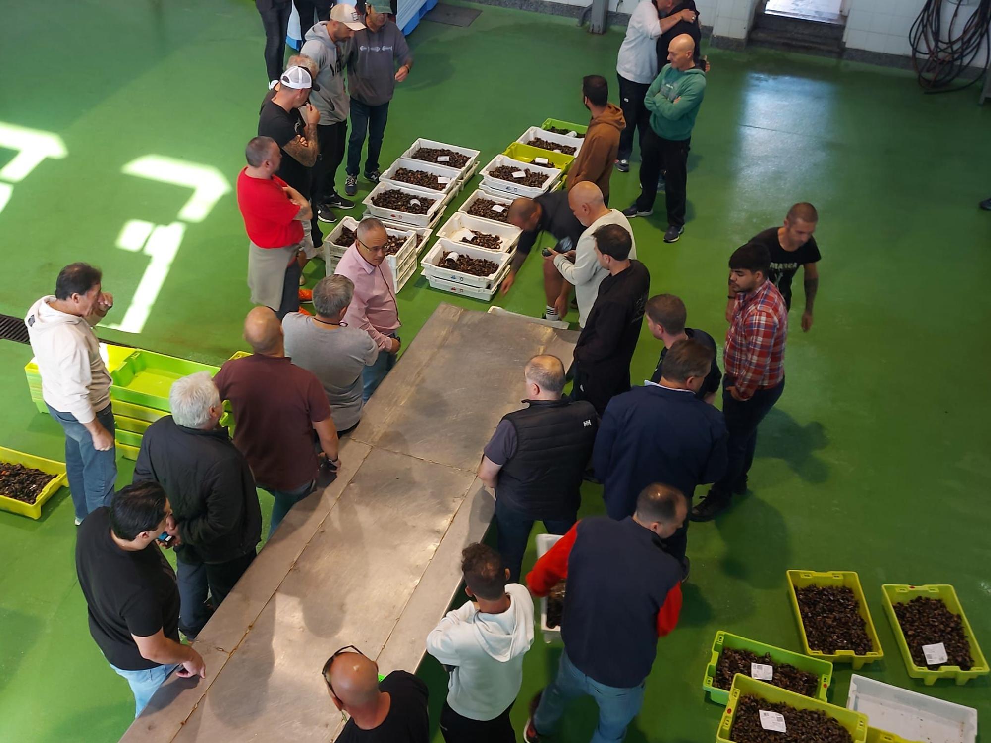 En imágenes: La primera subasta de percebe de la temporada en la rula de Puerto de Vega