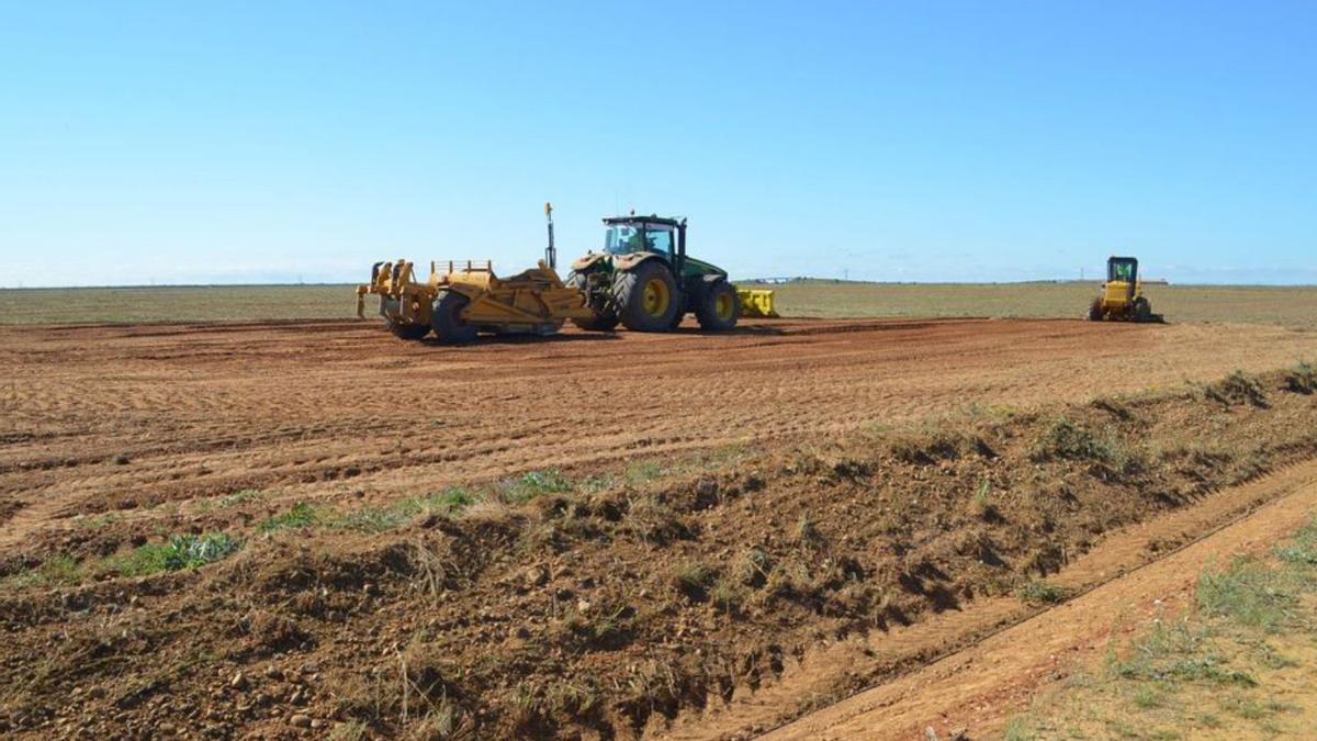 Terrenos donde debería ubicarse la biorrefinería. | L. O. Z.