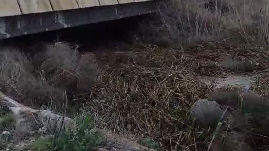 Así corría el agua por la rambla de El Albujón