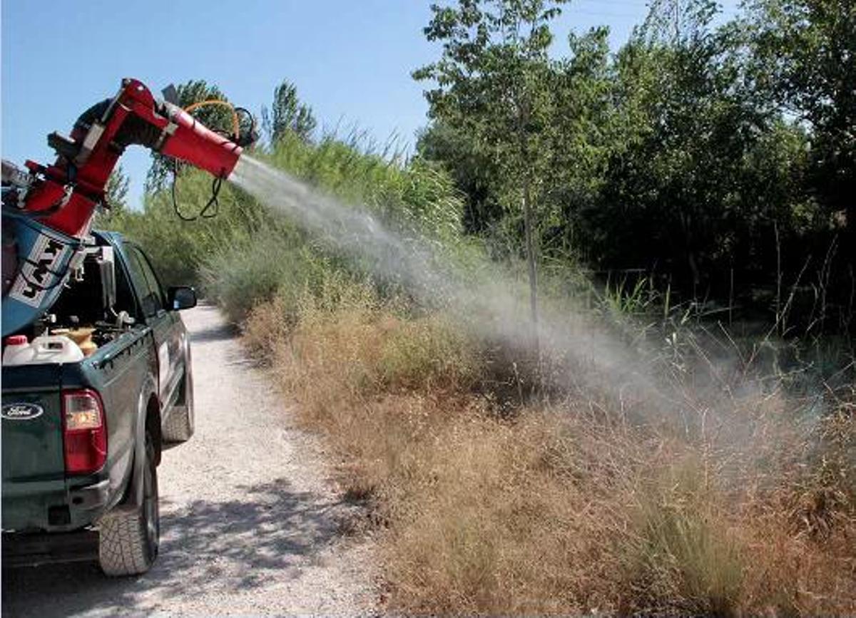 Se utilizará un insecticida suficientemente eficaz y, a su vez, de la menor toxicidad posible.