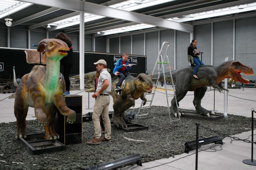 Dinoexpo en Ifeza