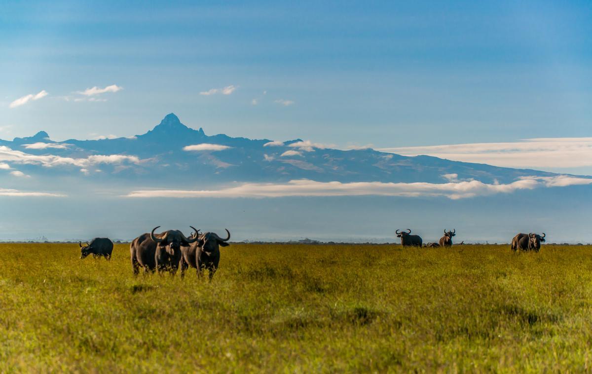 Las vistas al monte Kenia desde la reserva de Ol Pejeta acompañan durante el safari