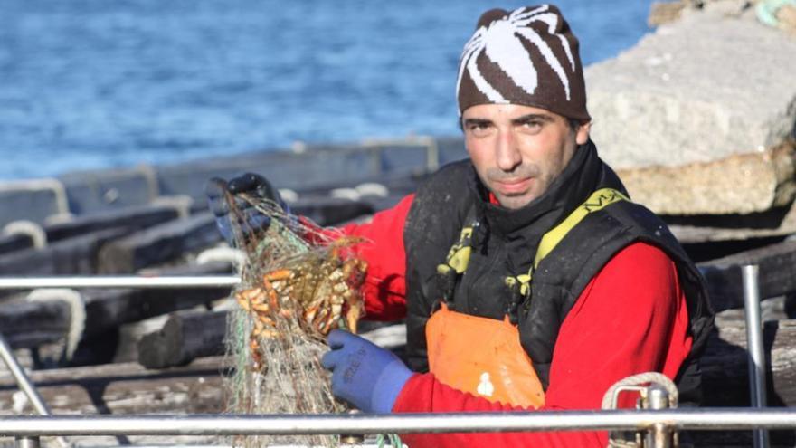 La pesca de centollo finaliza el día 23.