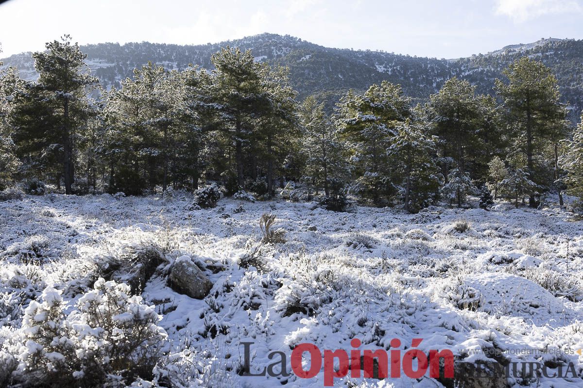 La nieve se hace presenta en las proximidades de Revolcadores