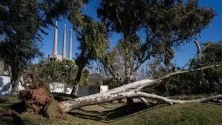 Muere la trabajadora de una empresa de Bon Pastor que se le cayó parte del techo por el fuerte viento