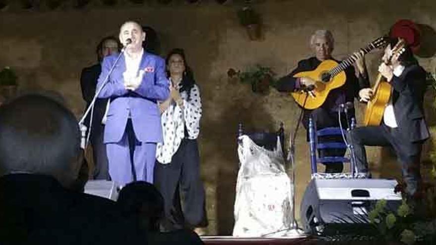 Un momento del espectáculo flamenco.