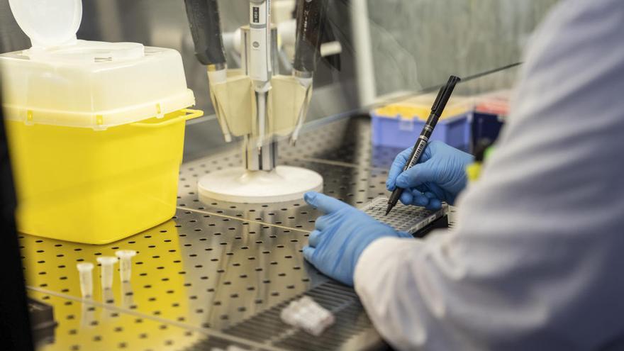 Un laboratorio turinés investiga la presencia de coronavirus