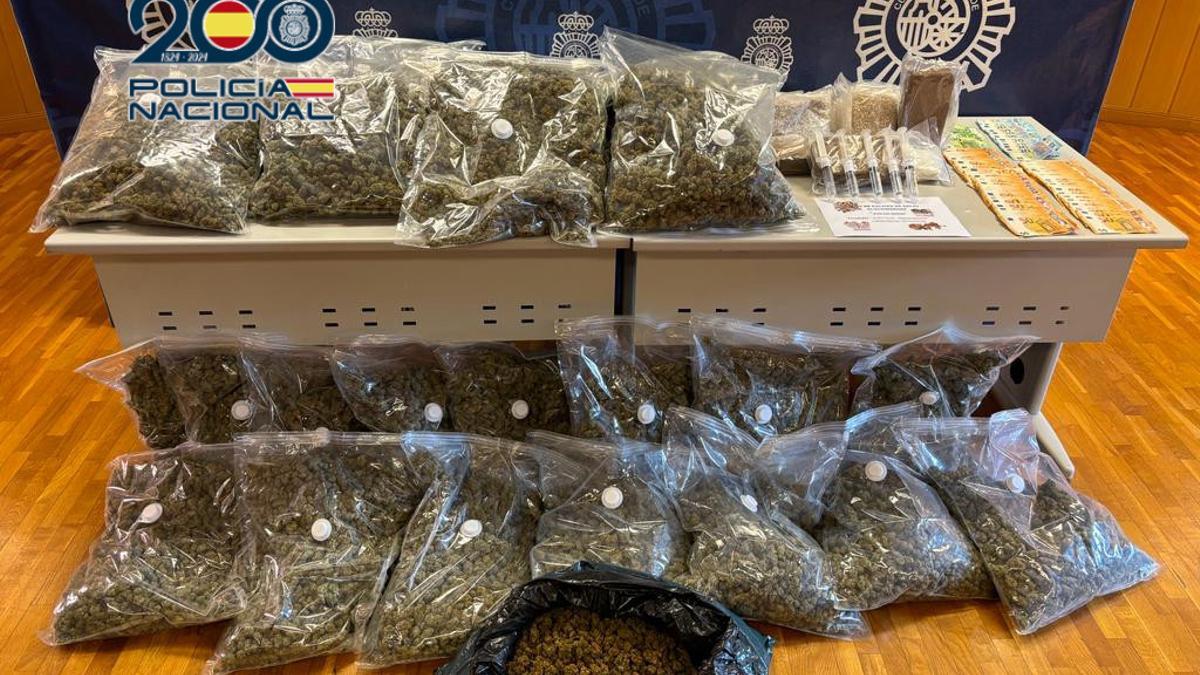 La Policía Nacional interviene 300 plantas de marihuana, 30 kilos de cogollos y 12.000 euros en un chalet en Elche.