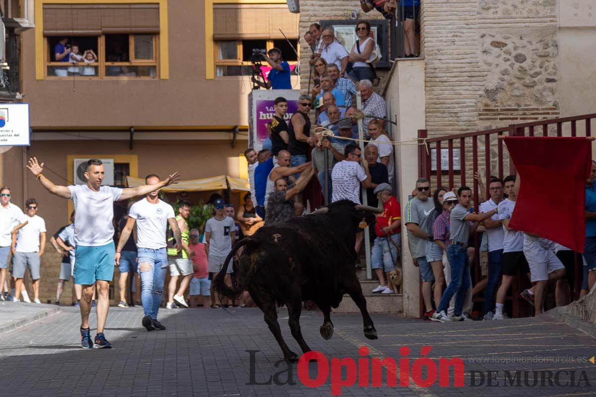 Séptimo encierro de las Fiestas de Moratalla