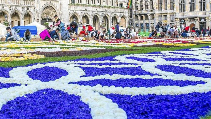 Japó protagonitza el vintè tapís floral a la Grand Place