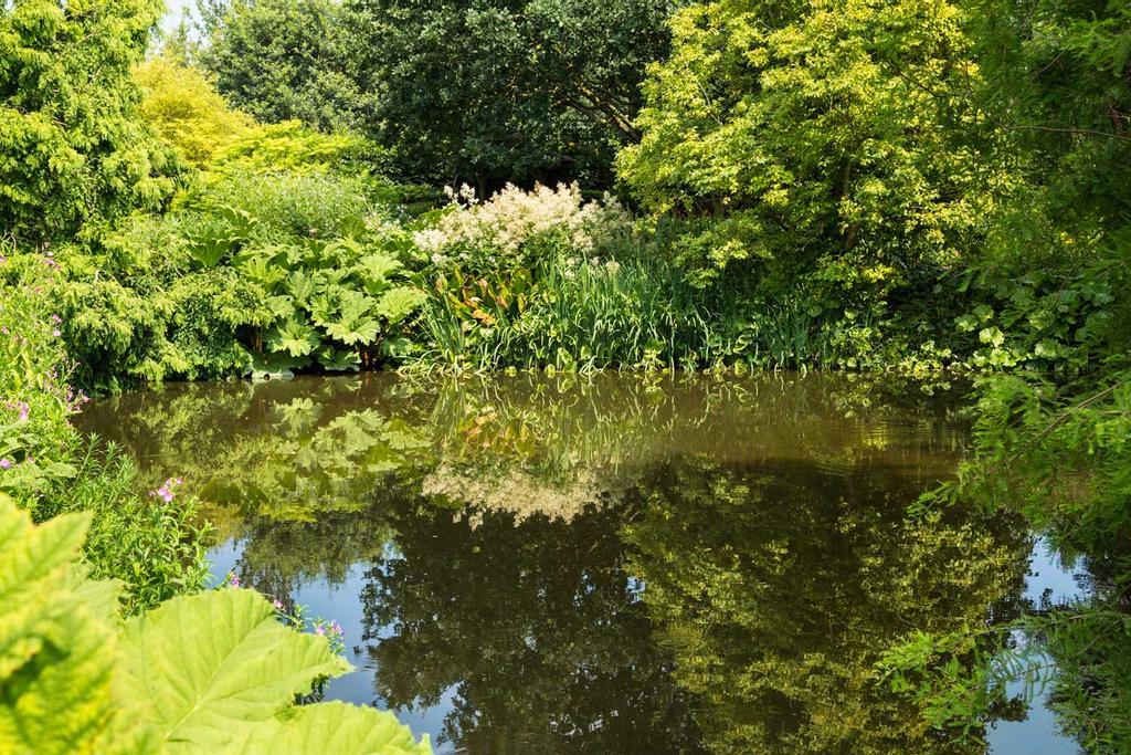 RHS Garden Hyde Hall, Essex