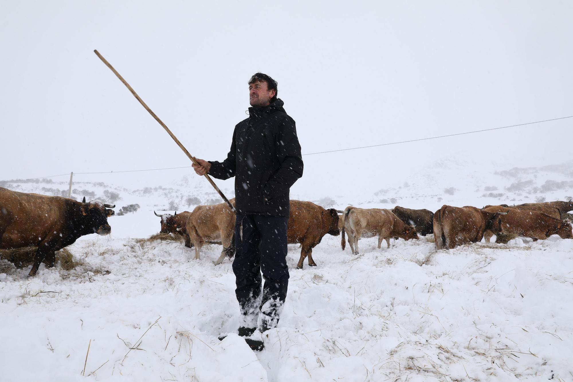 El Puerto de Somiedo, bajo la nevadona “de noviembre a marzo”